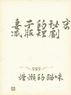 妻子的秘密未删减版短剧