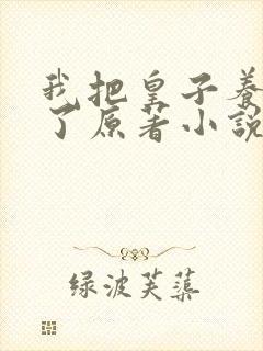 我把皇子养黑化了原著小说叫啥名