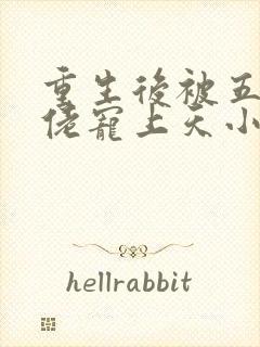 重生后被五个大佬宠上天小说