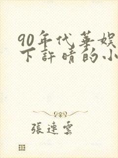 90年代华娱拿下许晴的小说