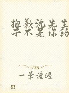 抱歉沈先生,孩子不是你的短剧免费播放