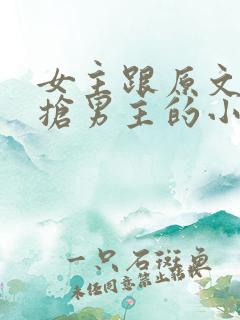 女主跟原文女主抢男主的小说