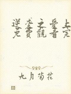 逆袭之爱上情敌免费观看完整版