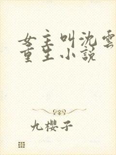 女主叫沈云汐的重生小说