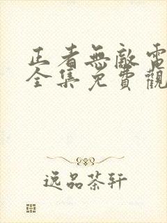 正者无敌电视剧全集免费观看