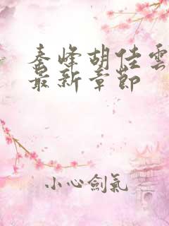 秦峰胡佳云小说最新章节