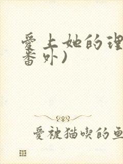 爱上她的理由(番外)