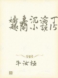 娇妻沉沦丁洁笔趣阁小说15章