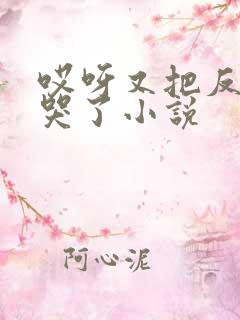 哎呀又把反派虐哭了小说