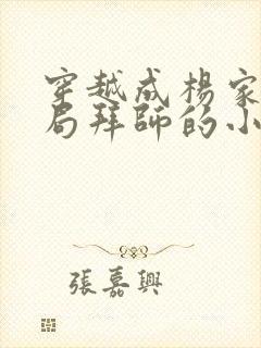 穿越成杨家将开局拜师的小说