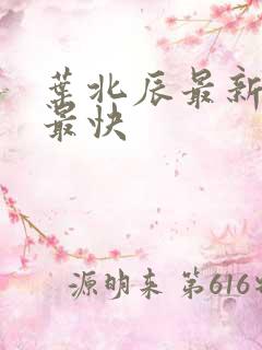 叶北辰最新章节最快