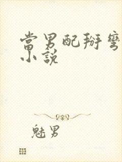 当男配掰弯男主小说