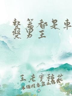 整篇都是车的肉双男主