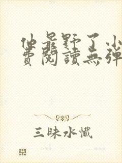 他最野了小说免费阅读无弹窗