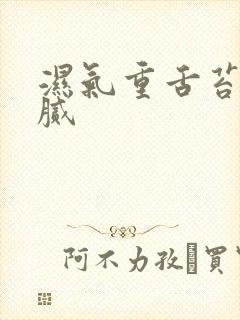 湿气重舌苔白厚腻