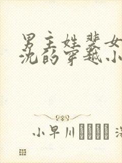 男主姓裴女主姓沈的穿越小说