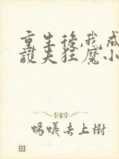 重生后,我成了护夫狂魔小说