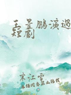 王晨鹏演过哪些短剧