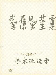 我在风花雪月里等你男主是谁