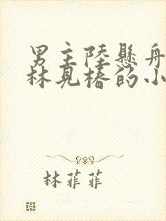 男主陆悬舟女主林见椿的小说