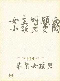 女主叫顾向晚的小说免费阅读