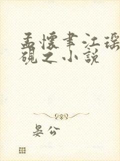 孟怀聿江瑶月沈砚之小说