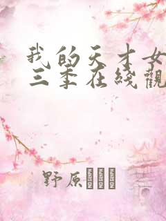 我的天才女友第三季在线观看