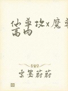 仙尊攻x魔尊受高肉