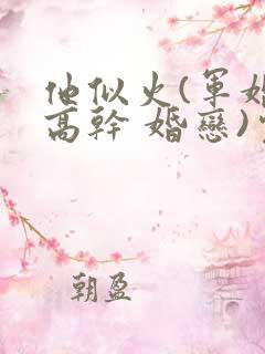 他似火(军婚 高干 婚恋)完结