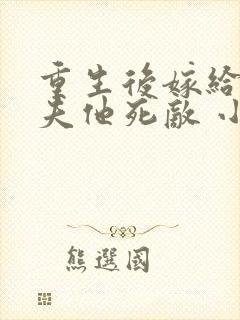 重生后嫁给了亡夫他死敌 小说网