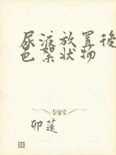 尿液放置后有白色絮状物