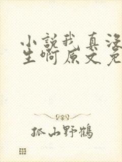 小说我真没想重生啊原文免费阅读