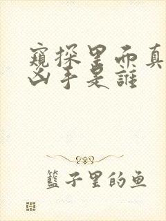 窥探里面真正的凶手是谁