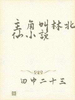主角叫林北的修仙小说