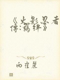 《火影忍者疾风传:羁绊》