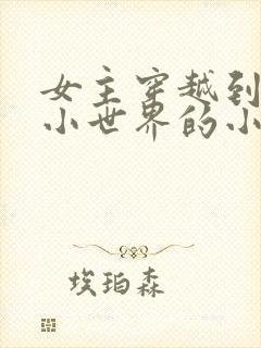 女主穿越到各种小世界的小说