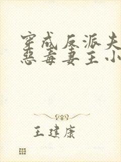 穿成反派夫郎的恶毒妻主小说