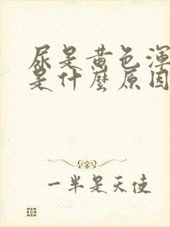 尿是黄色浑浊的是什么原因