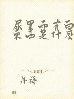 尿里面有白色的东西是什么