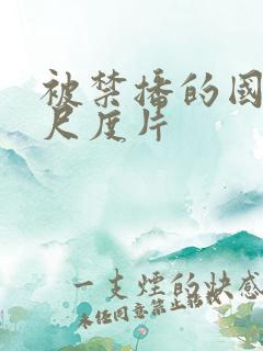 被禁播的国产大尺度片