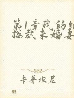 第1章我的绝色总裁未婚妻