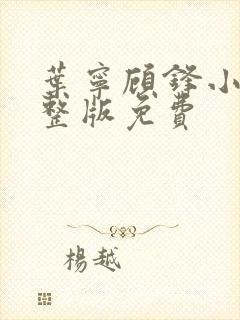 叶宁顾锋小说完整版免费