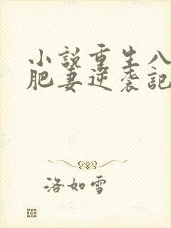 小说重生八零:肥妻逆袭记