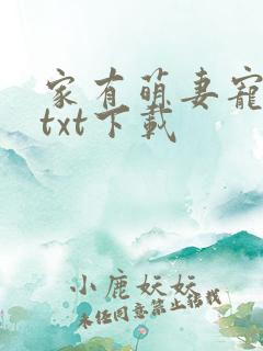 家有萌妻宠上天txt下载