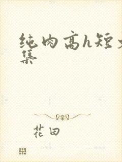 纯肉高h短文合集