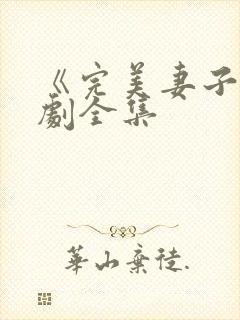 《完美妻子》短剧全集