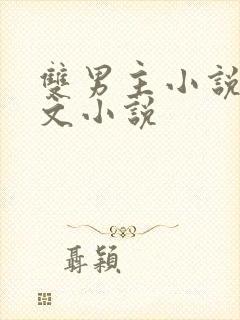 双男主小说高干文小说