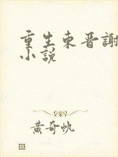 重生东晋谢家的小说