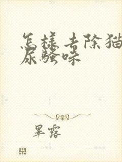 怎样去除猫咪的尿骚味