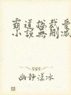 霸道总裁爱上我小说无删减